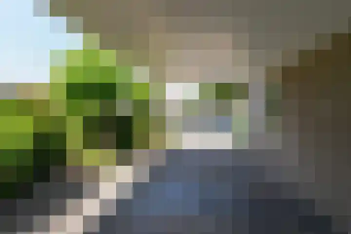 Newtonlaan 59 Vlijmen thumbnail 32