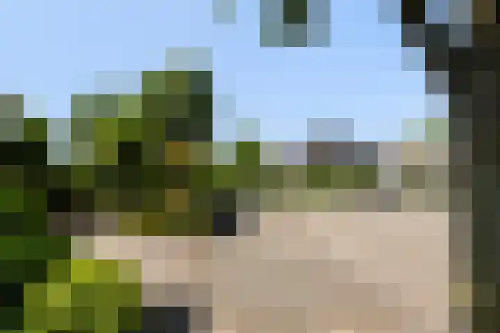 Newtonlaan 59 Vlijmen thumbnail 33