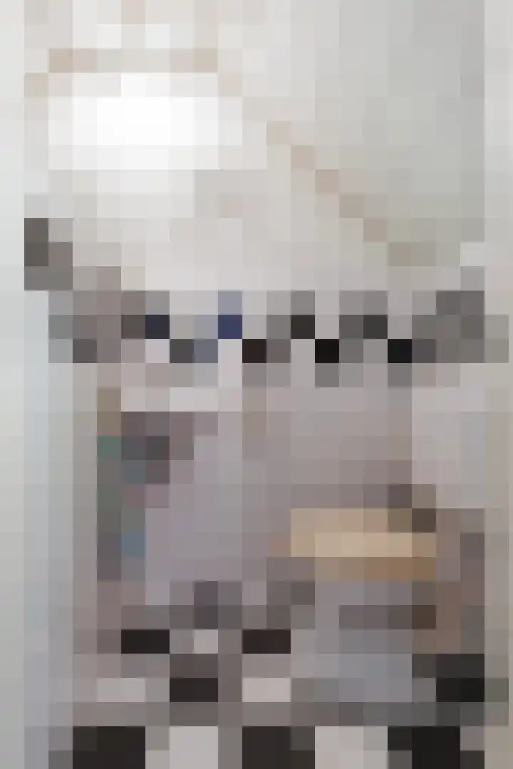 Newtonlaan 59 Vlijmen thumbnail 6