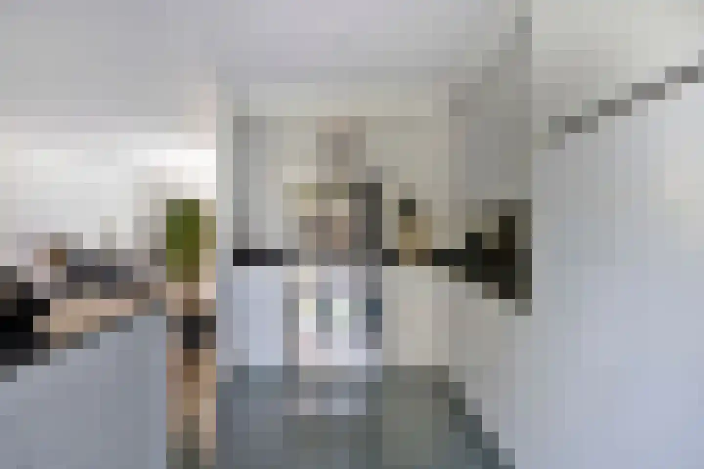 Newtonlaan 8 Vlijmen thumbnail 10