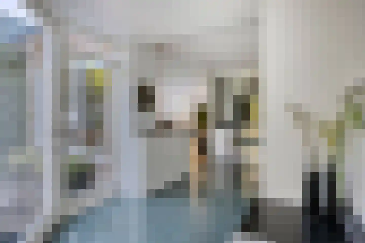 Newtonlaan 8 Vlijmen thumbnail 12