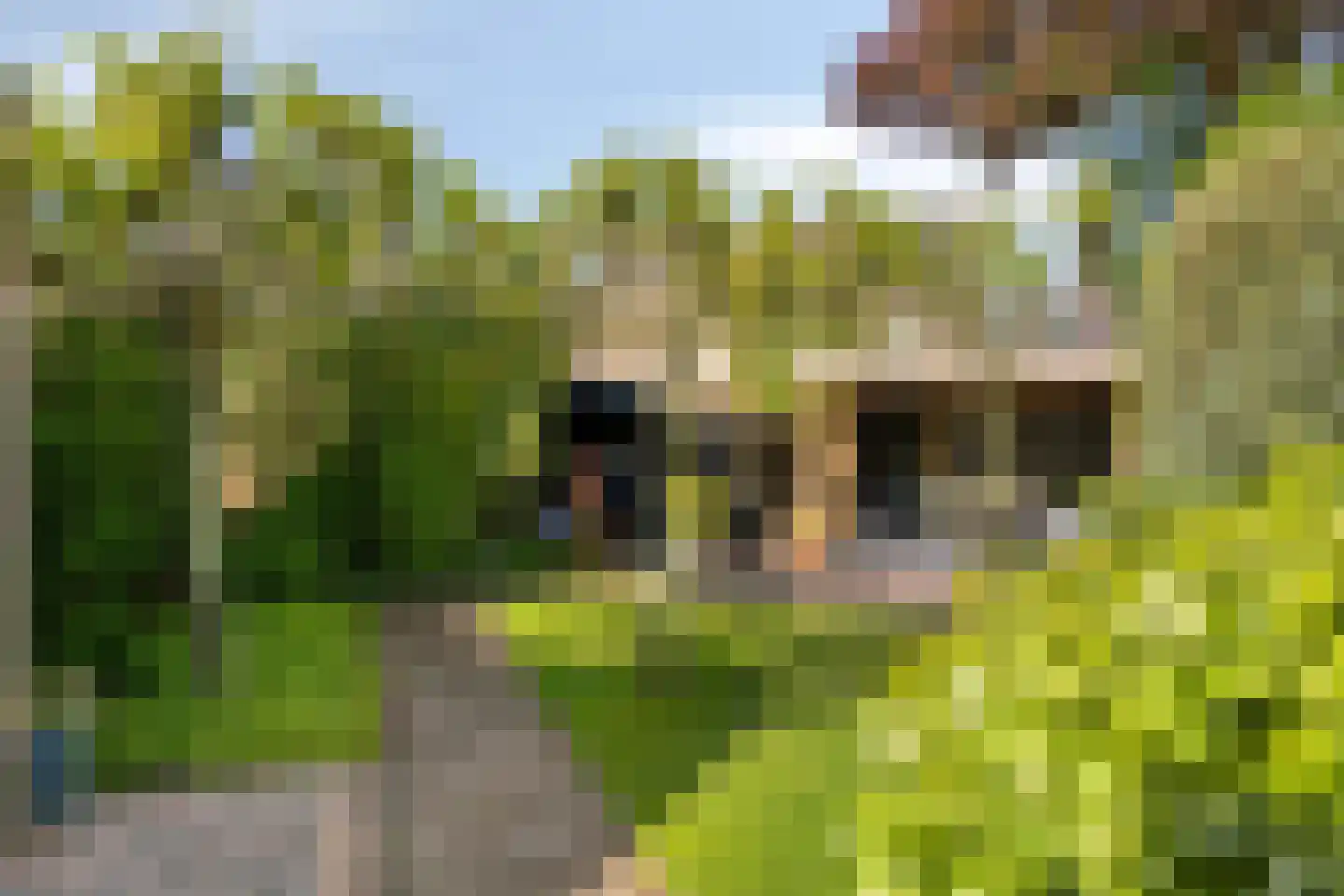 Newtonlaan 8 Vlijmen thumbnail 27