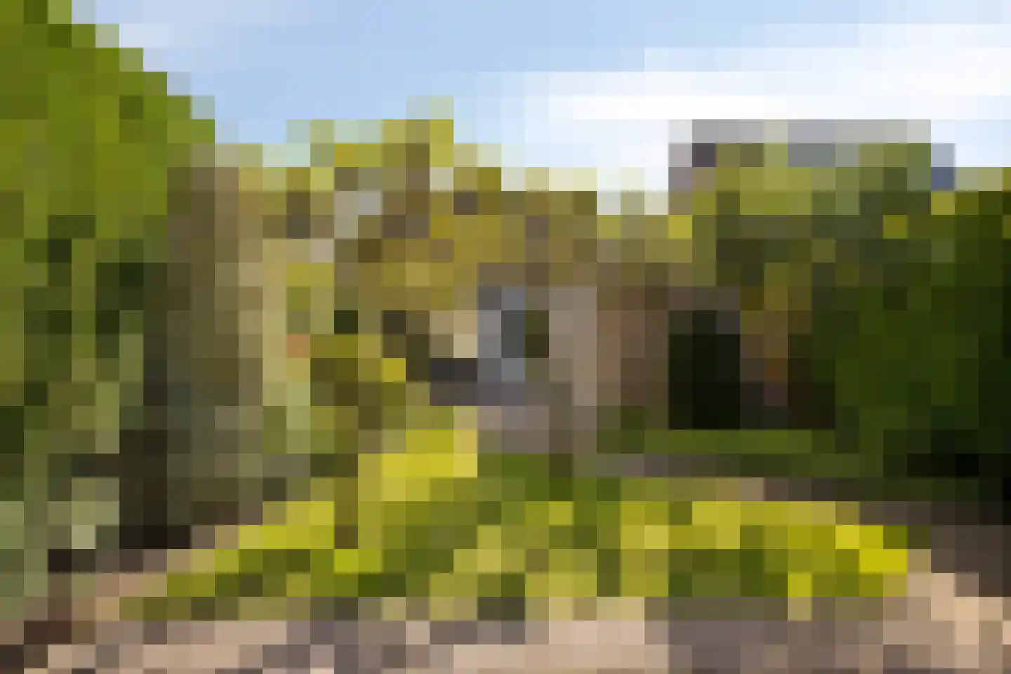 Newtonlaan 8 Vlijmen thumbnail 28