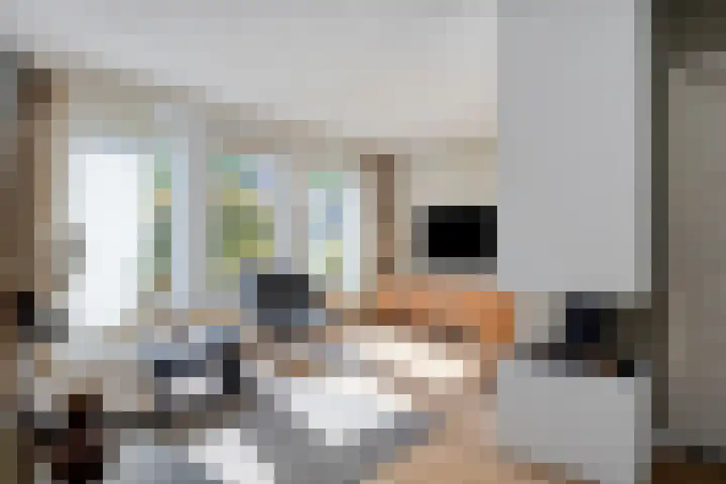 Newtonlaan 8 Vlijmen thumbnail 5