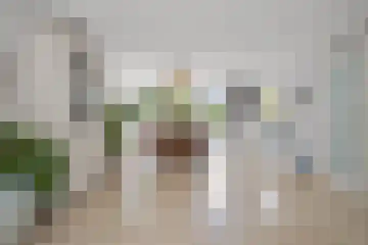 Newtonlaan 84 Vlijmen thumbnail 10