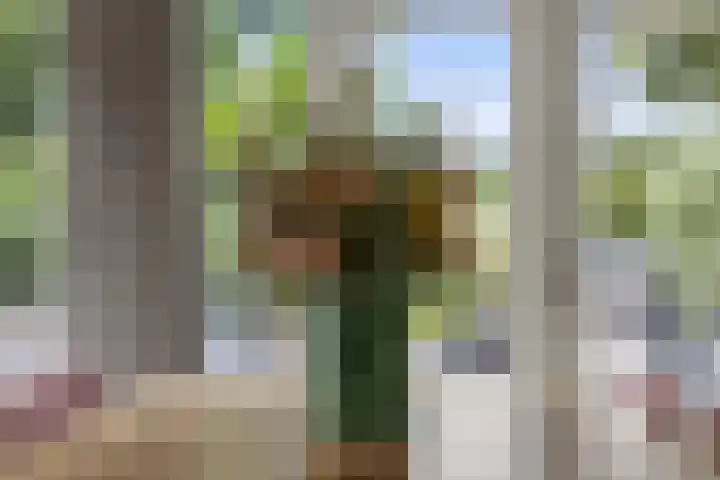 Newtonlaan 84 Vlijmen thumbnail 11