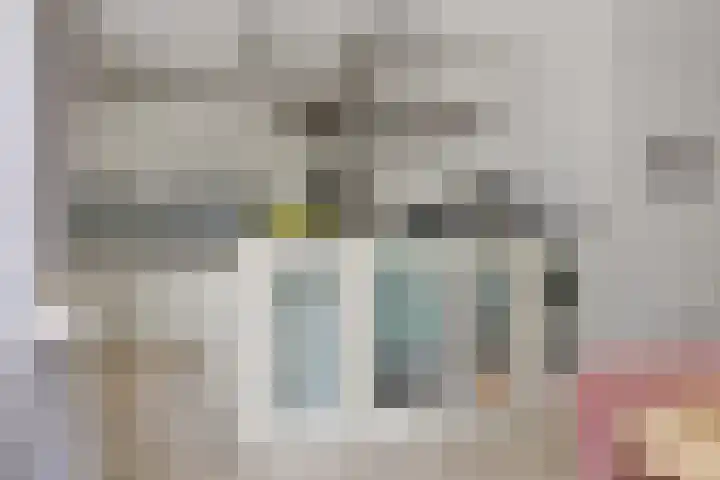 Newtonlaan 84 Vlijmen thumbnail 12