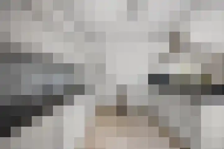 Newtonlaan 84 Vlijmen thumbnail 13