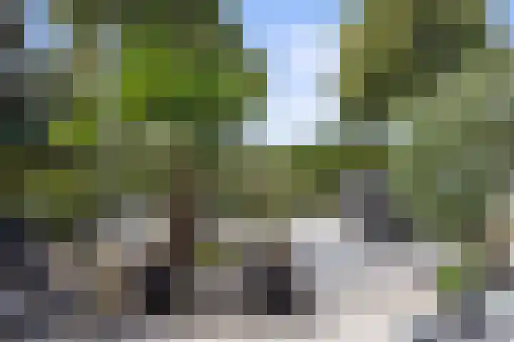 Newtonlaan 84 Vlijmen thumbnail 29