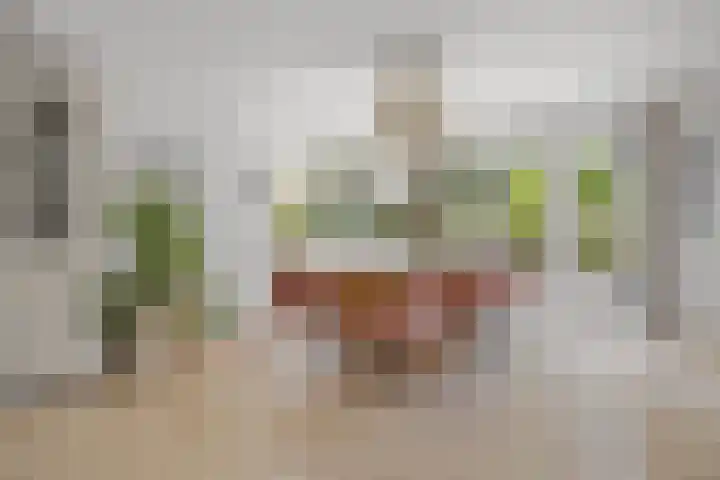 Newtonlaan 84 Vlijmen foto 3