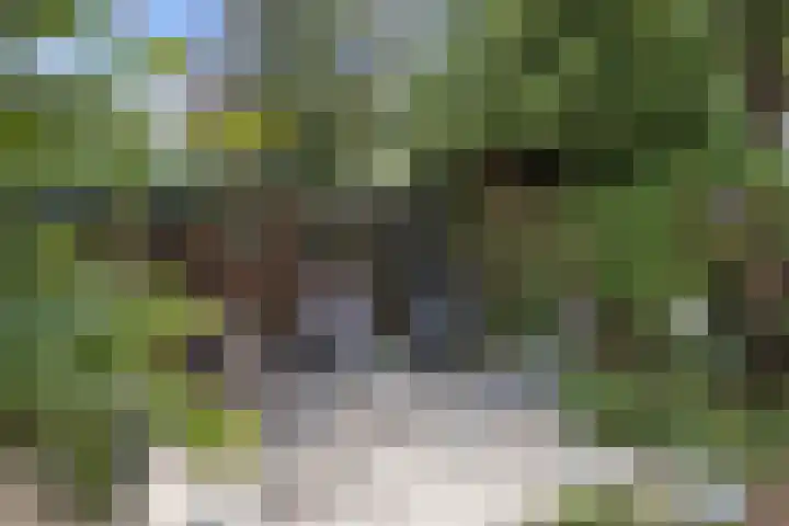 Newtonlaan 84 Vlijmen thumbnail 30