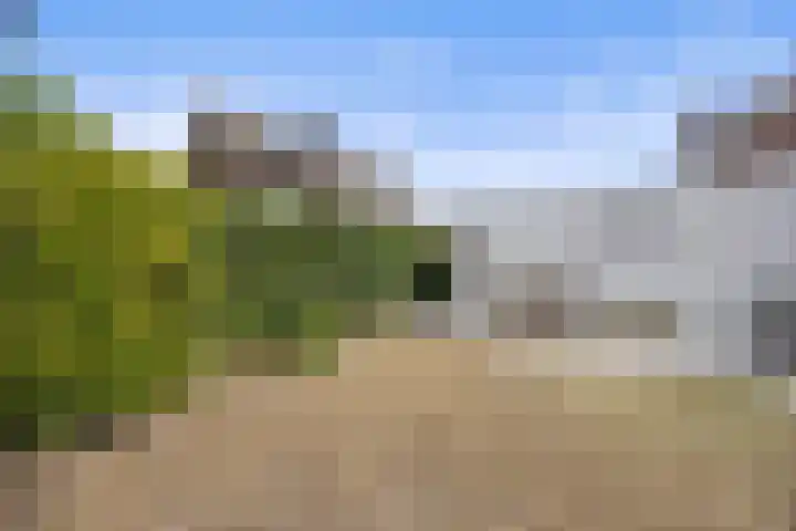 Newtonlaan 84 Vlijmen thumbnail 32