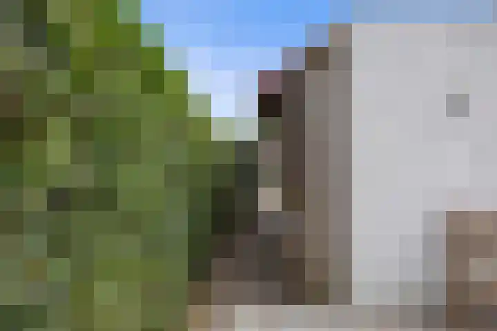 Newtonlaan 84 Vlijmen thumbnail 33