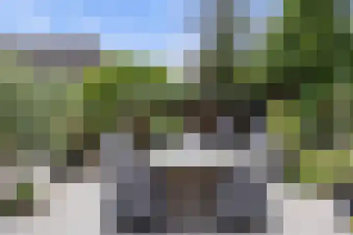 Newtonlaan 84 Vlijmen thumbnail 35