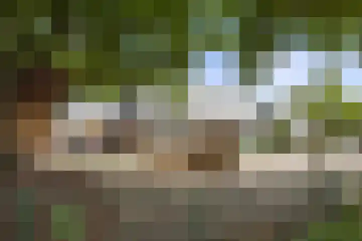 Newtonlaan 84 Vlijmen thumbnail 41