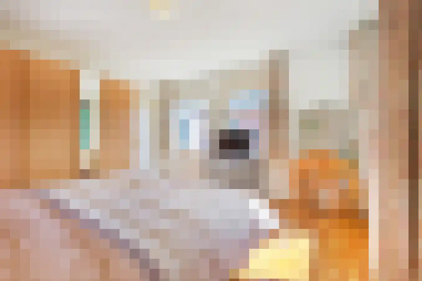 Newtonlaan 86 Vlijmen thumbnail 24