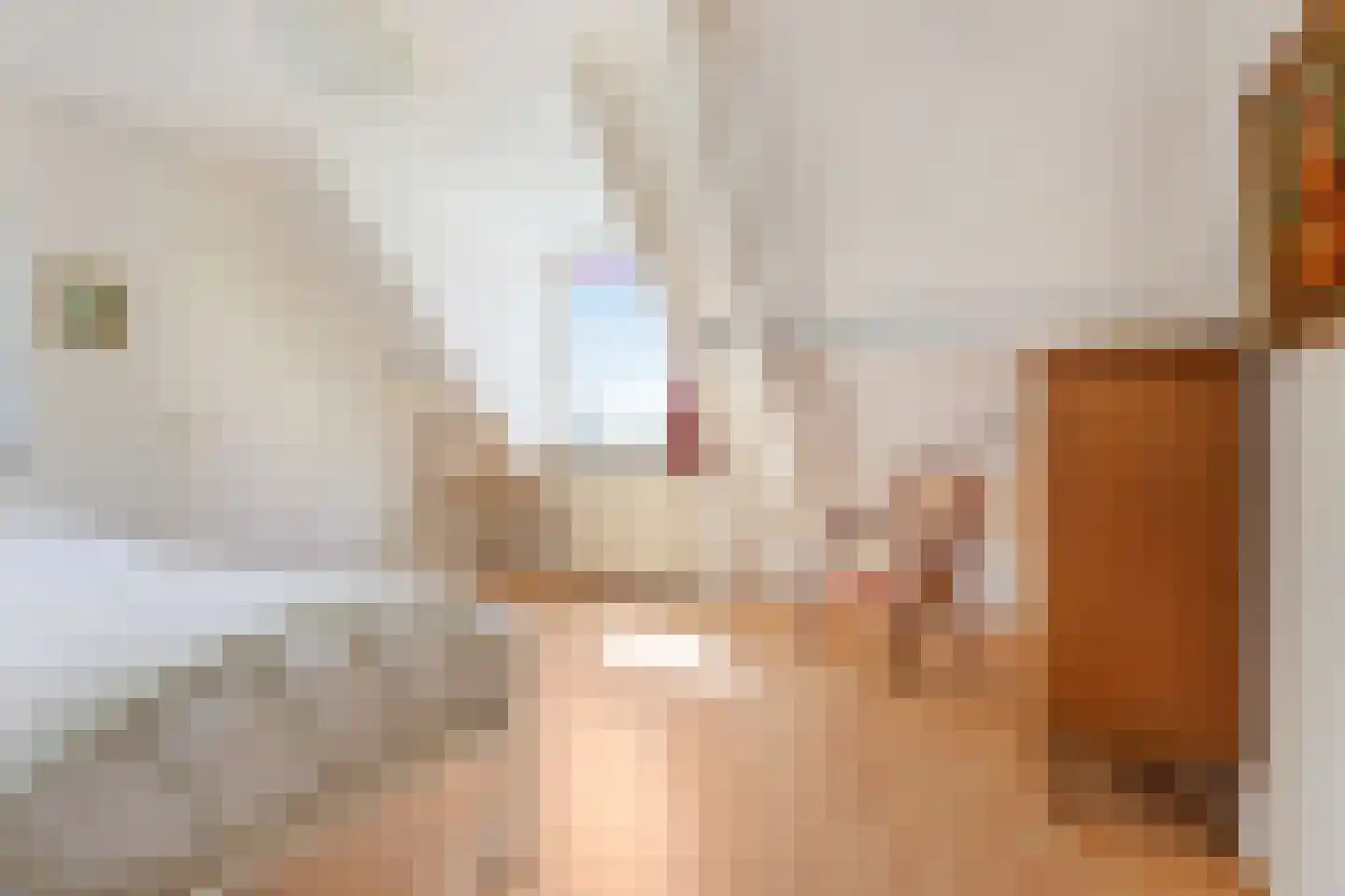 Newtonlaan 86 Vlijmen thumbnail 30