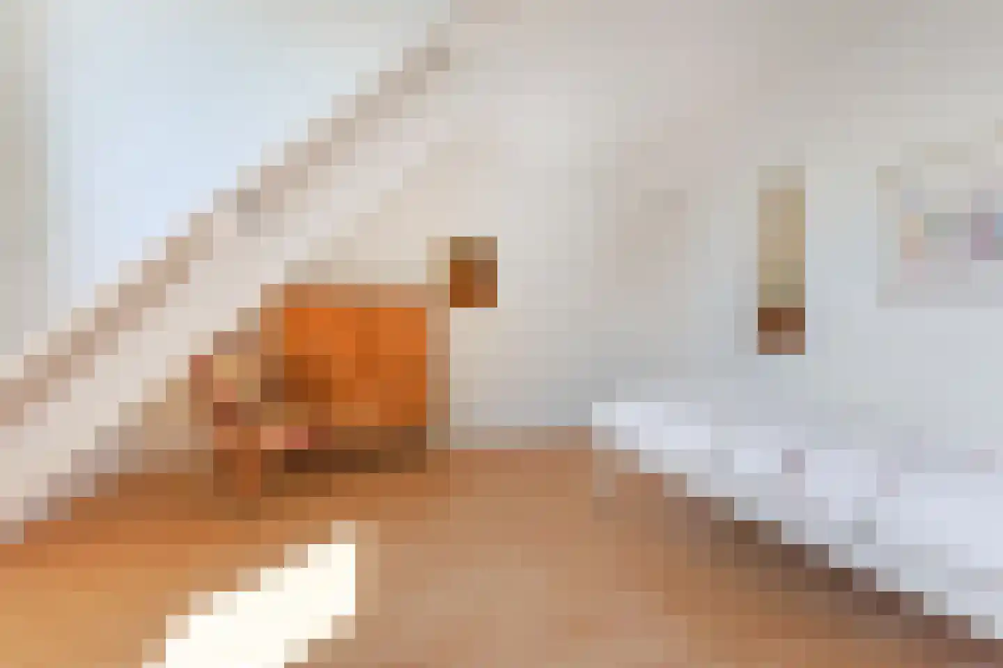 Newtonlaan 86 Vlijmen thumbnail 32
