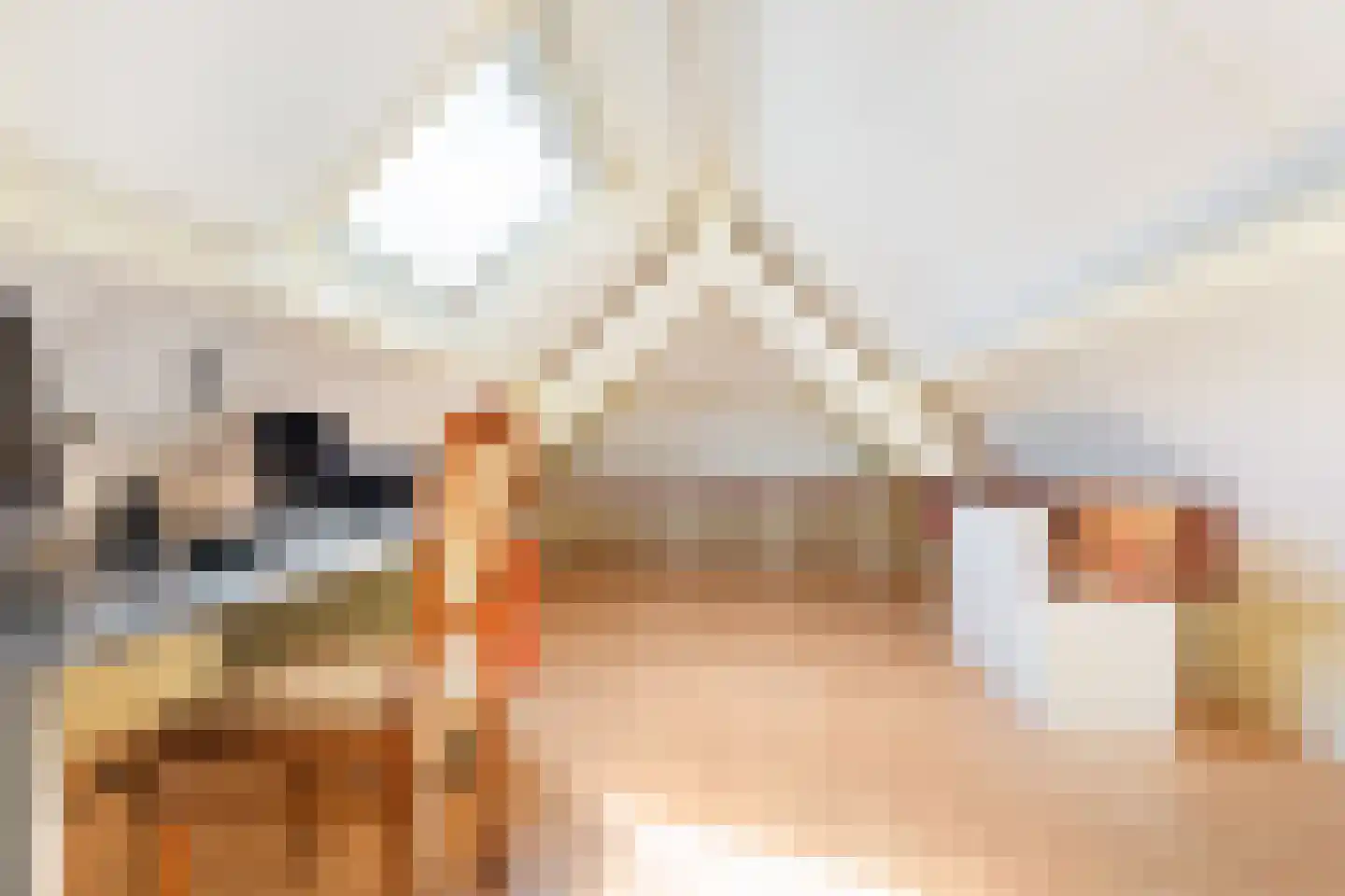 Newtonlaan 86 Vlijmen thumbnail 36