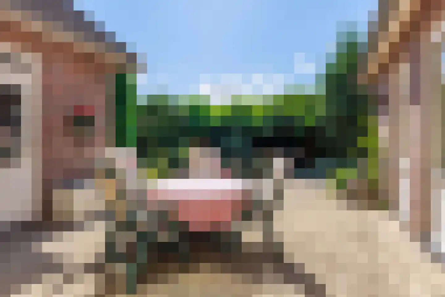 Newtonlaan 86 Vlijmen thumbnail 39