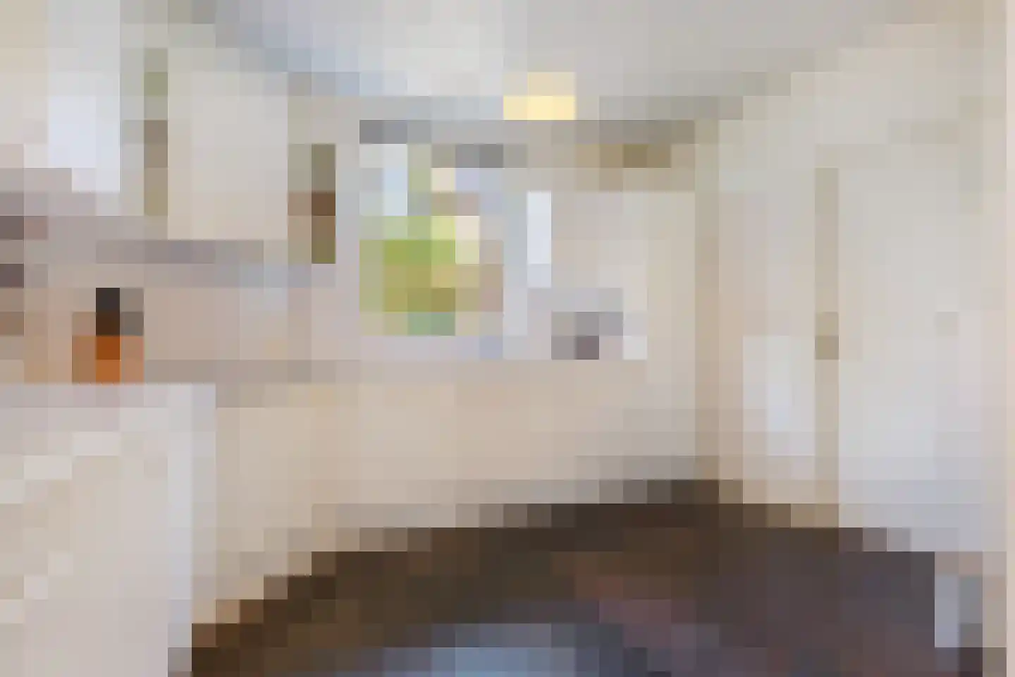 Newtonlaan 86 Vlijmen thumbnail 4