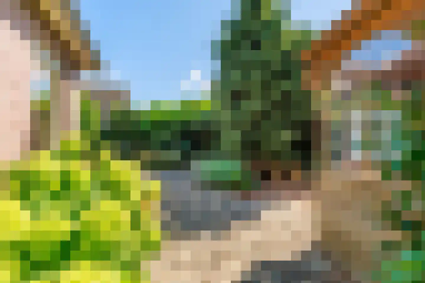 Newtonlaan 86 Vlijmen thumbnail 45