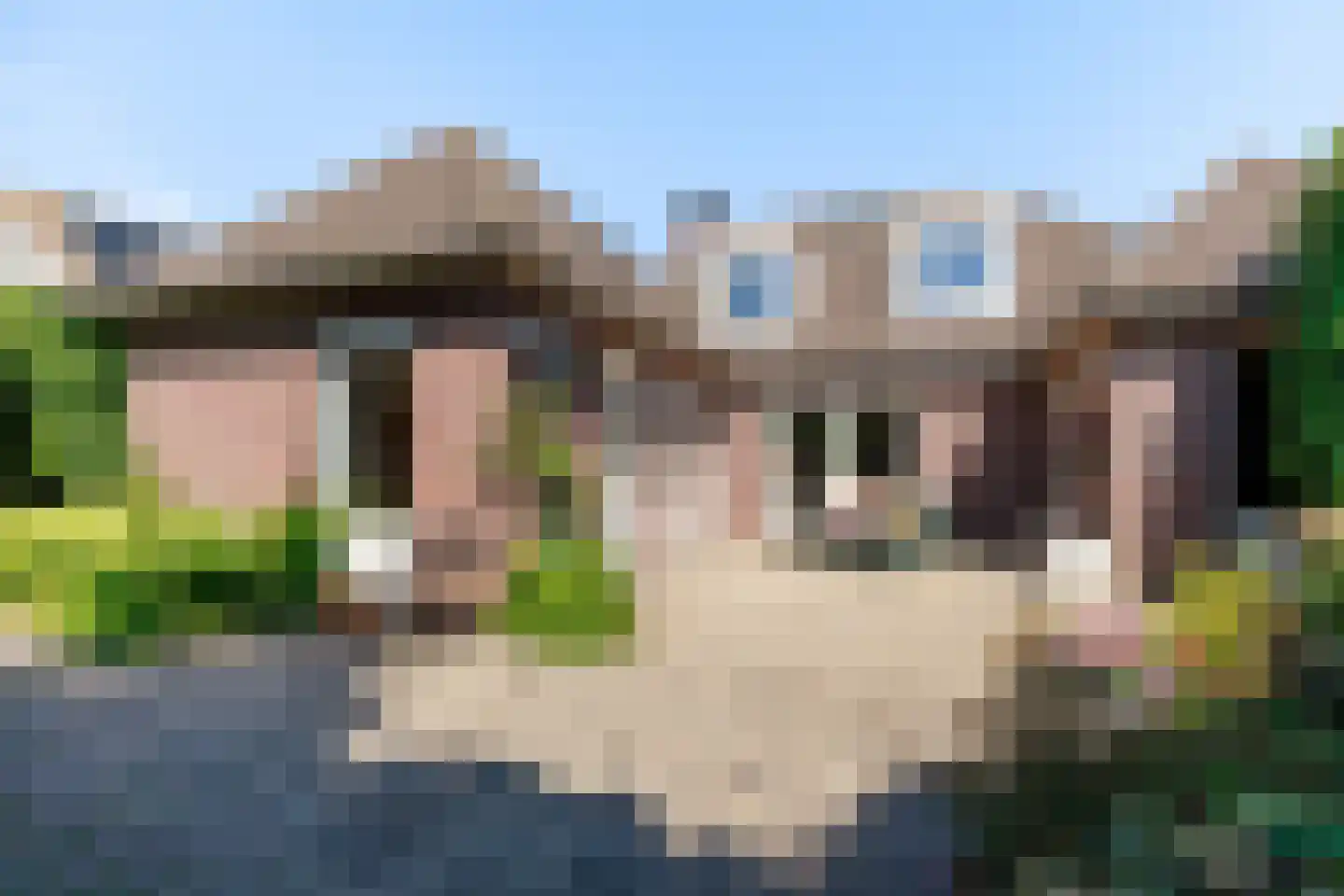 Newtonlaan 86 Vlijmen thumbnail 46