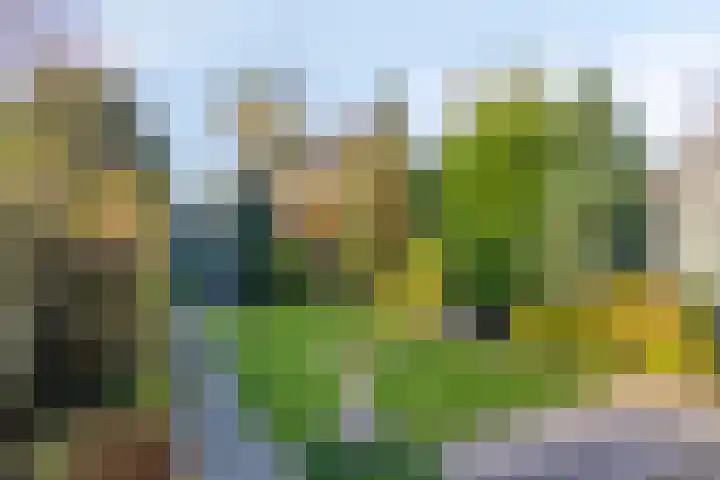 Newtonplein 14 Eindhoven thumbnail 23