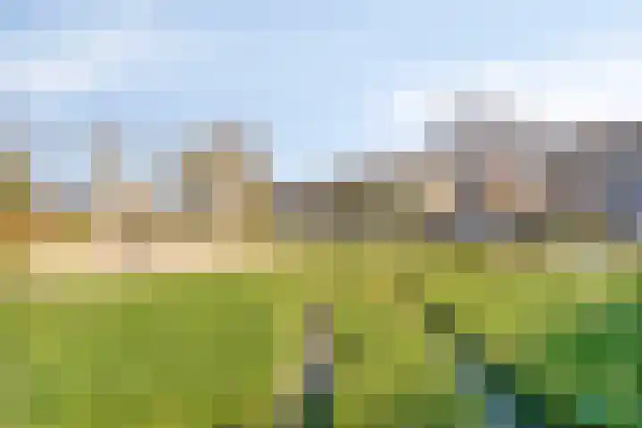 Newtonplein 14 Eindhoven thumbnail 30