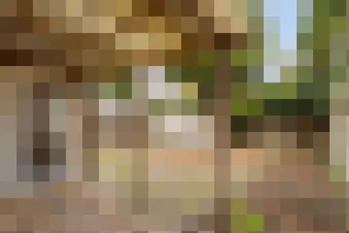 Newtonplein 15 B Eindhoven thumbnail 24
