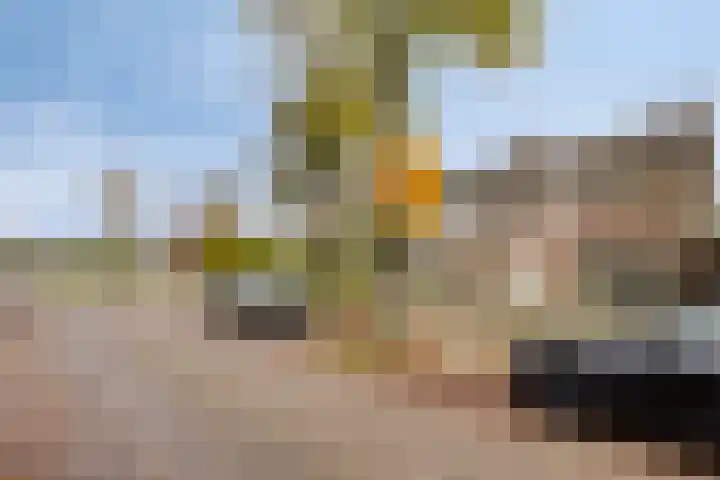 Newtonplein 15 B Eindhoven thumbnail 6
