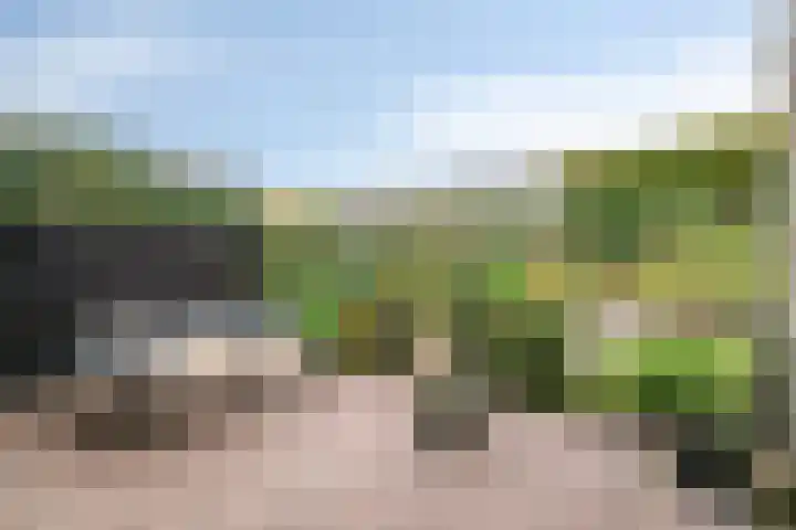 Newtonplein 17 Boxtel thumbnail 32