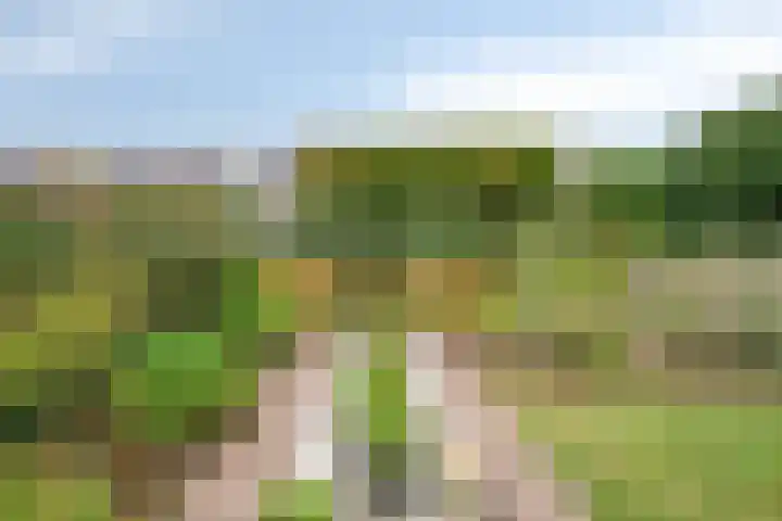 Newtonplein 17 Boxtel thumbnail 33