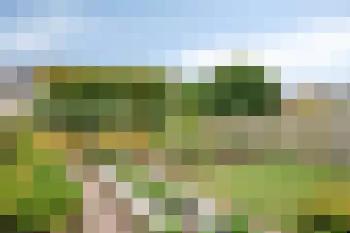 Newtonplein 17 Boxtel thumbnail 34