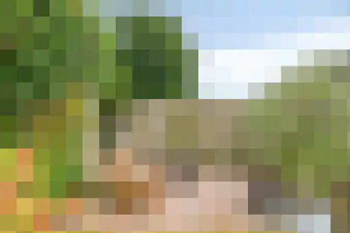 Newtonplein 17 Boxtel thumbnail 35