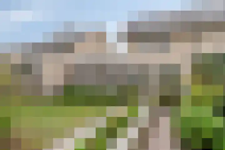 Newtonplein 17 Boxtel thumbnail 36