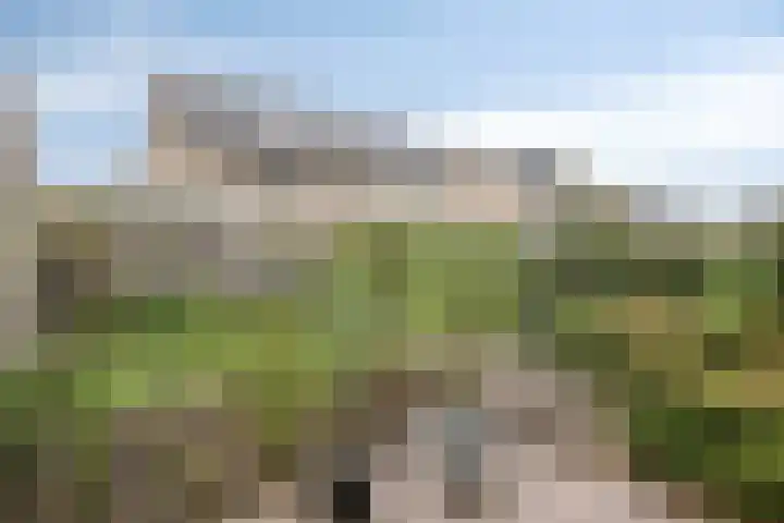 Newtonplein 17 Boxtel thumbnail 37