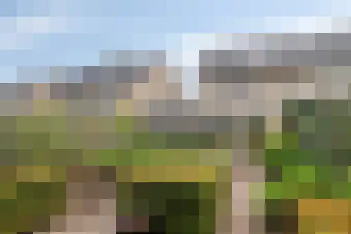 Newtonplein 17 Boxtel thumbnail 5