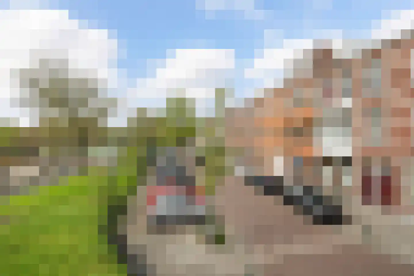 Newtonplein 4 A Den Haag thumbnail 36