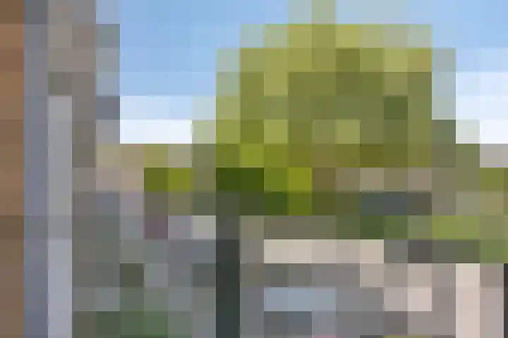 Newtonplein 49 Schiedam thumbnail 17