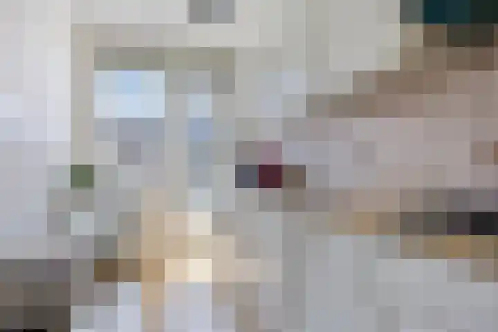 Newtonplein 49 Schiedam thumbnail 8