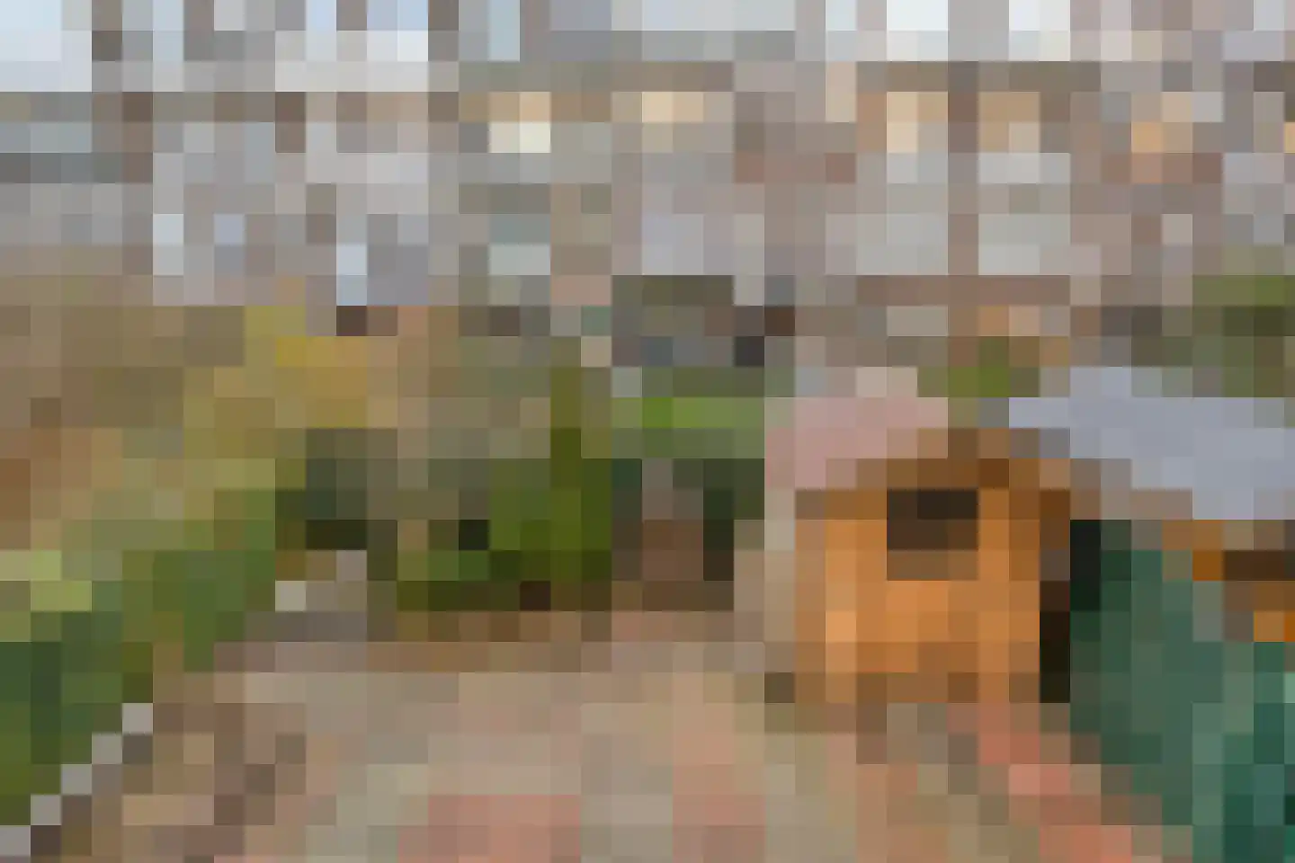 Newtonplein 53 Schiedam thumbnail 16