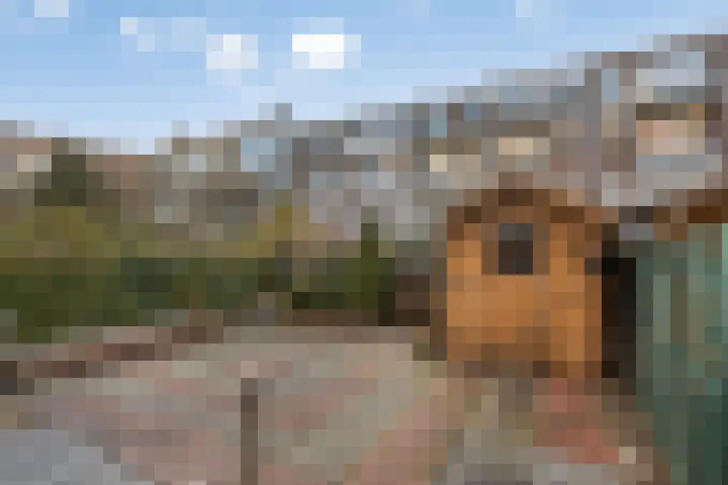 Newtonplein 53 Schiedam thumbnail 18