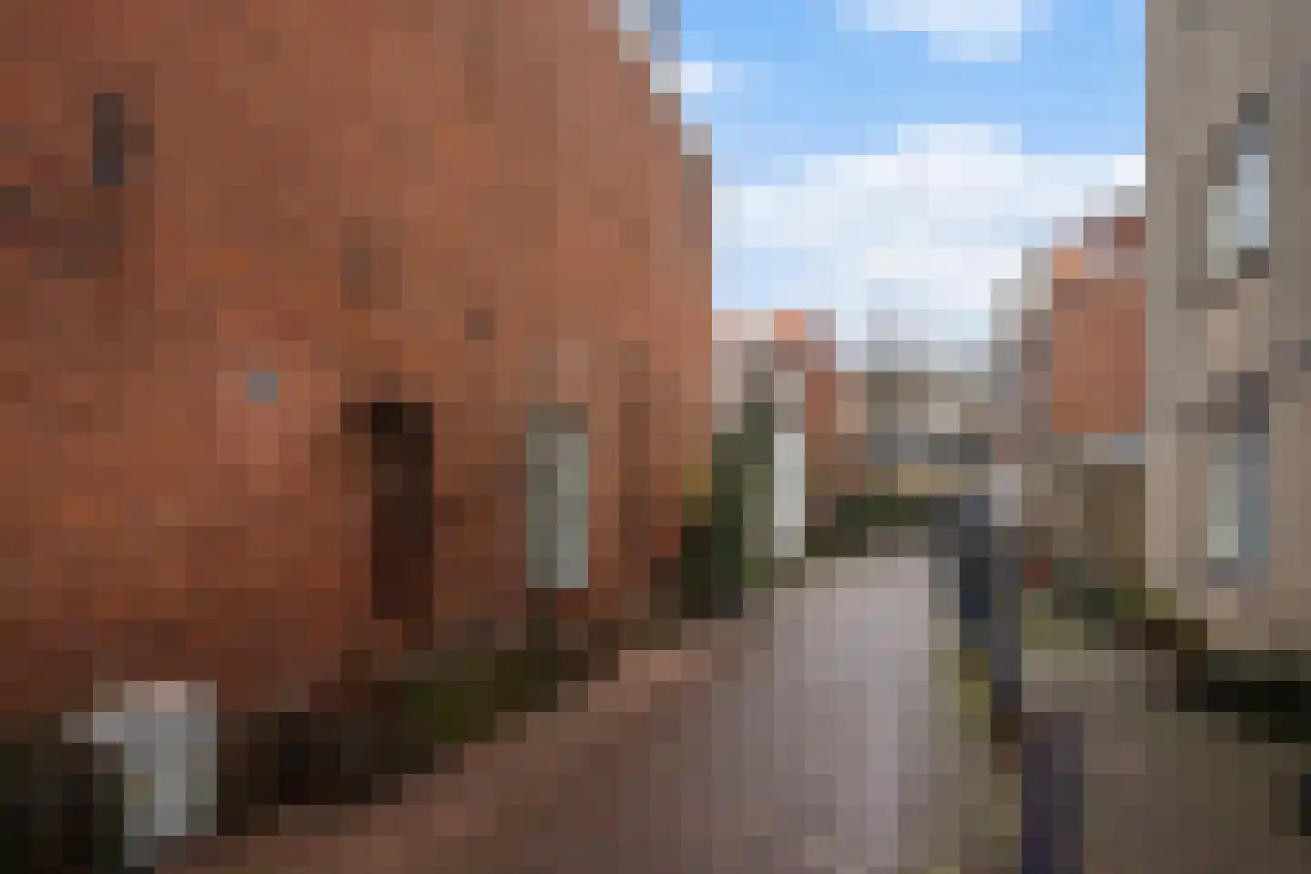 Newtonstraat 191 Den Haag thumbnail 40