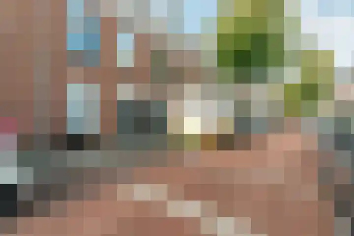 Newtonstraat 199 Den Haag thumbnail 6