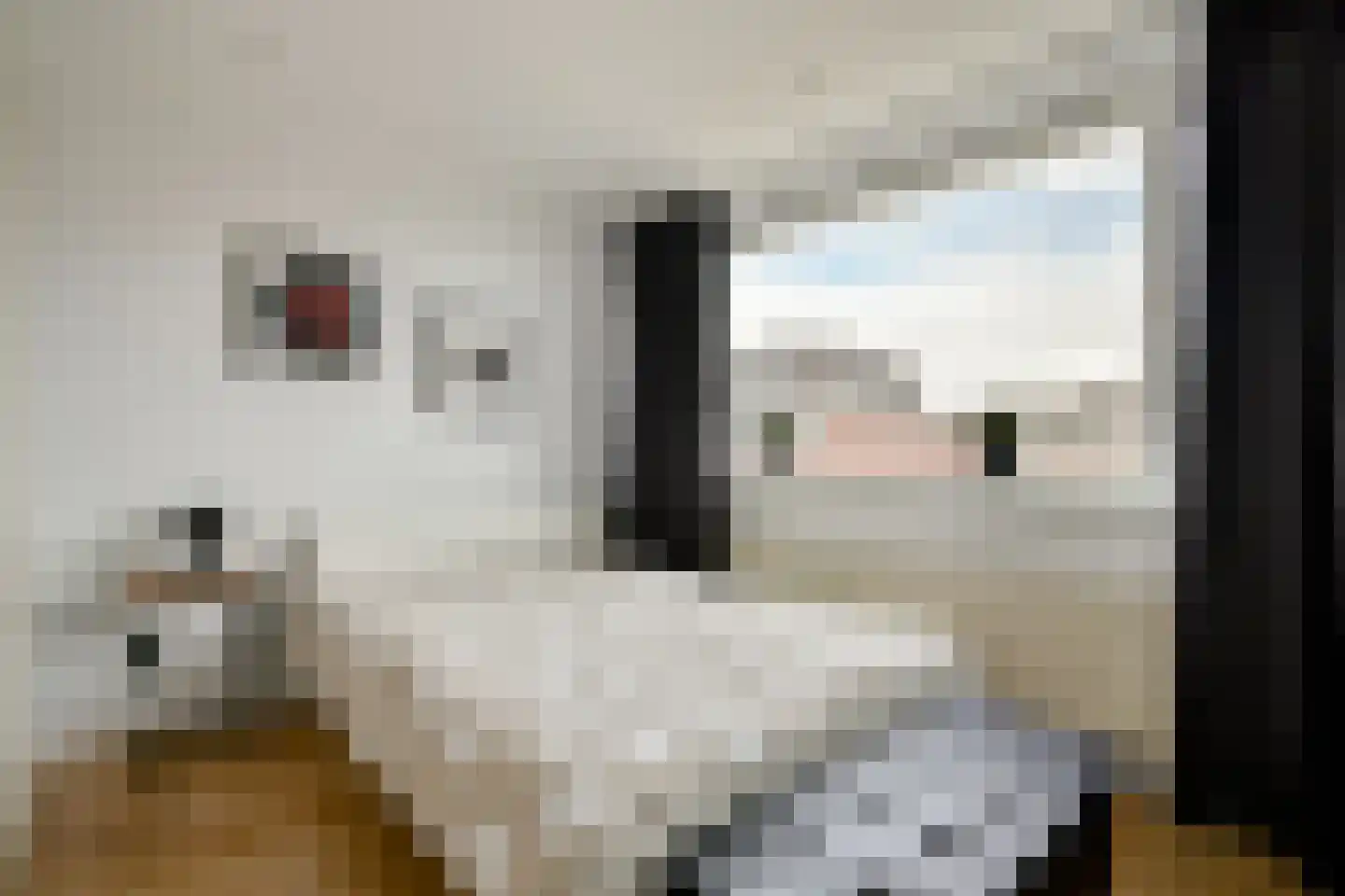 Newtonstraat 20 Badhoevedorp thumbnail 21