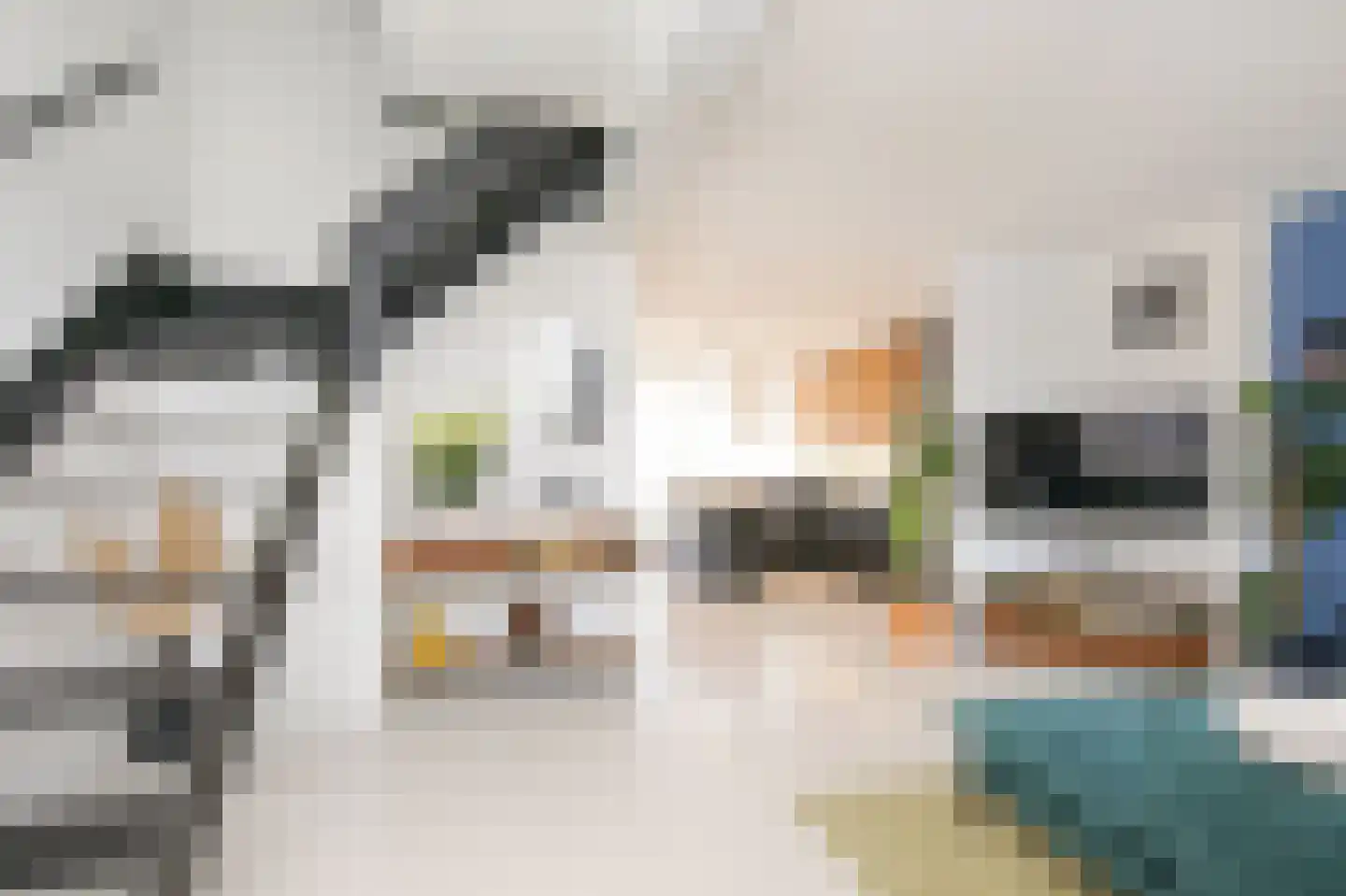 Newtonstraat 20 Badhoevedorp thumbnail 42