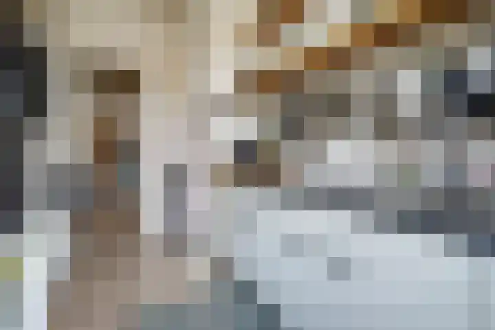 Newtonstraat 201 Den Haag thumbnail 17