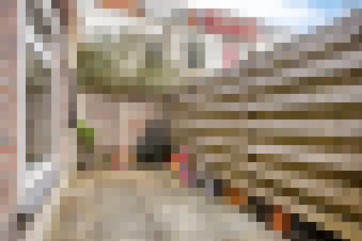 Newtonstraat 207 Den Haag thumbnail 25