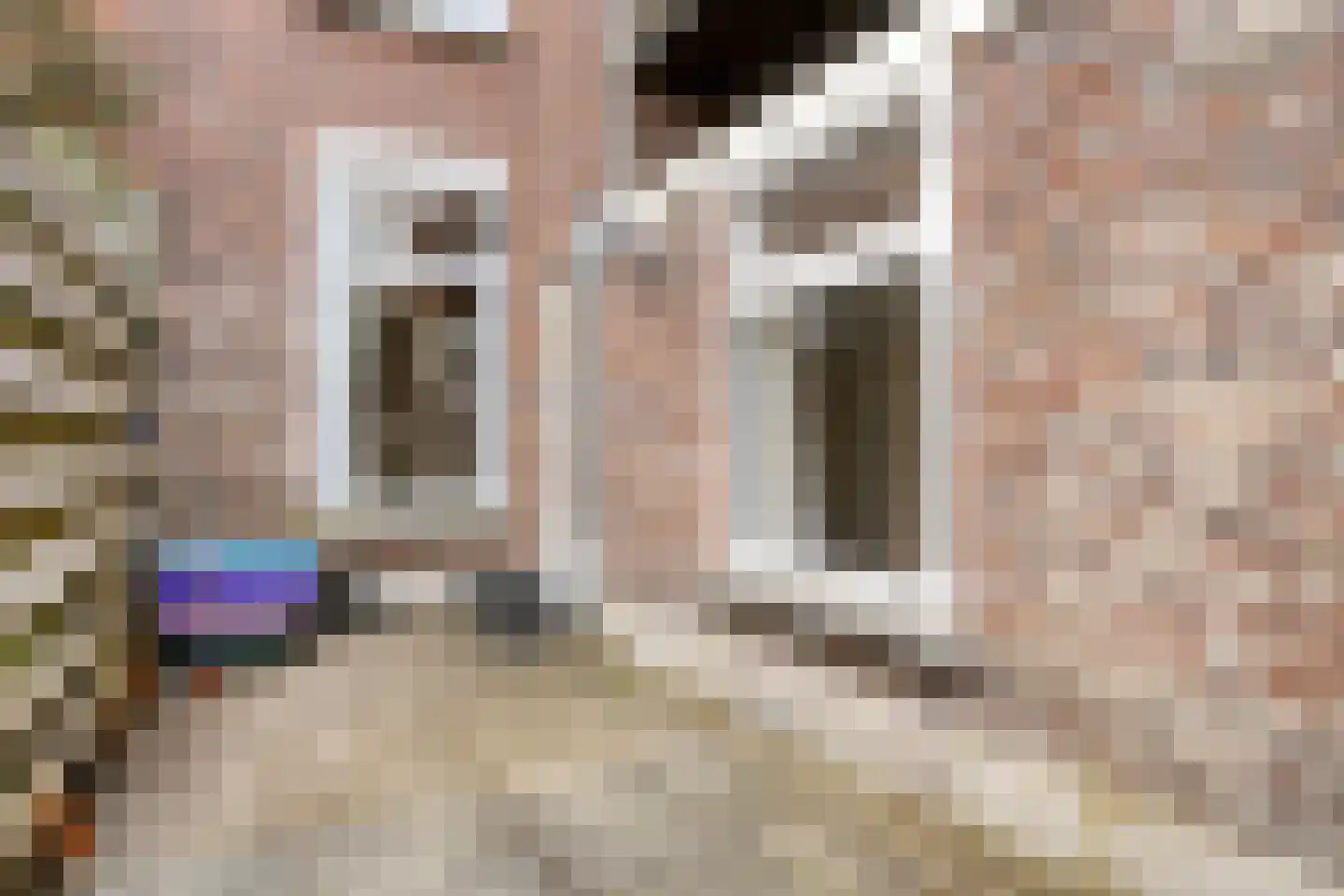 Newtonstraat 207 Den Haag thumbnail 26